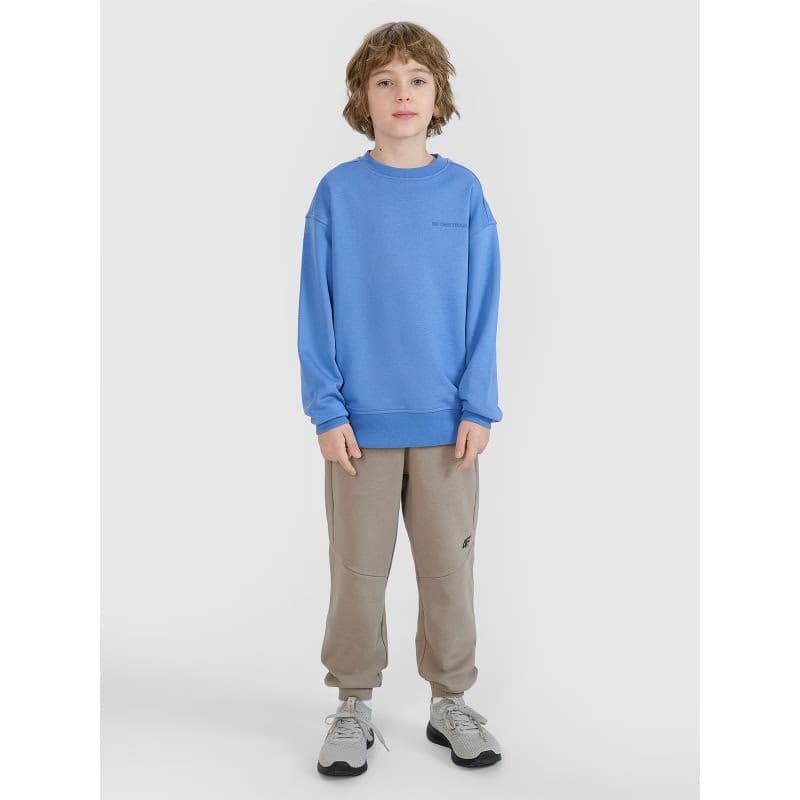 Chlapčenská mikina 4F JUNIOR SWEATSHIRT-JWSS25TSWSM1713-34S-BLUE 4