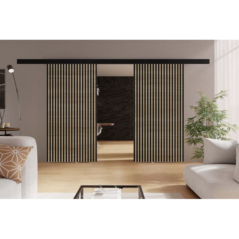 KIER Posuvné dvere BELMO DUO | 212 cm Farba: Grafit 4