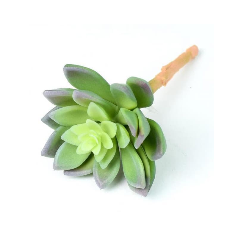 Kinekus Ozdoba zapichovacia skalnička echeveria 14cm, svetlozelená