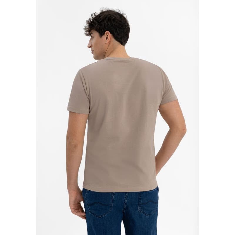 Pánske tričko s krátkym rukávom VOLCANO TM-SVEN-BEIGE 3