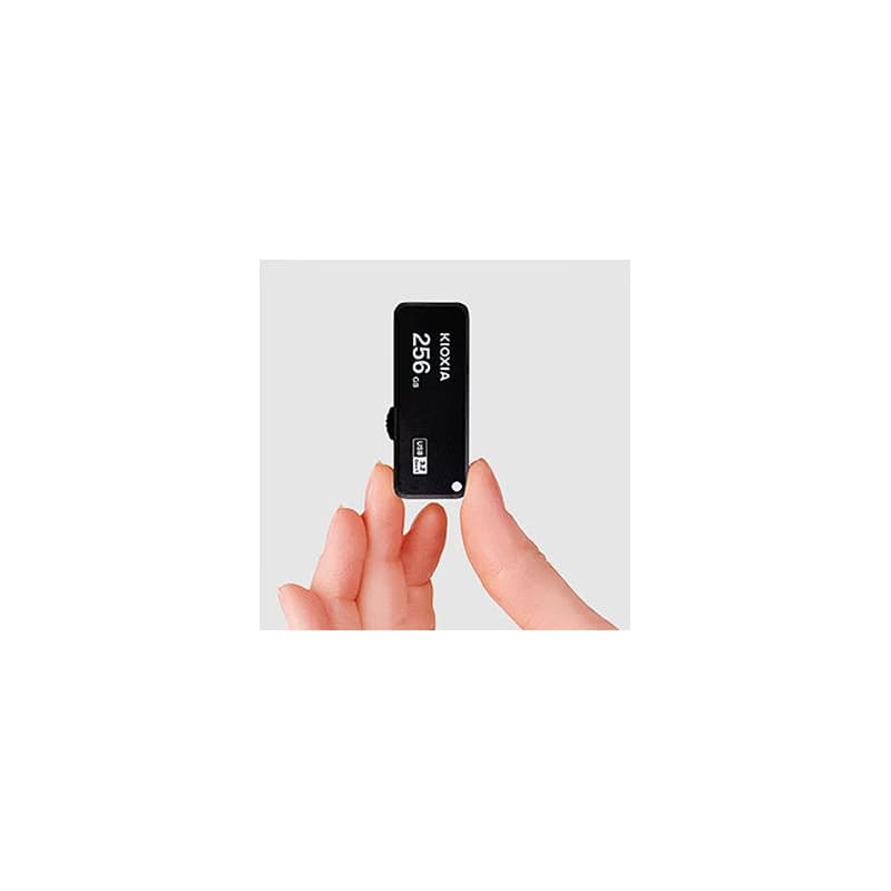 Kioxia USB flash disk, USB 3.0, 256GB, Yamabiko U365, Yamabiko U365, čierny, LU365K256GG4 5