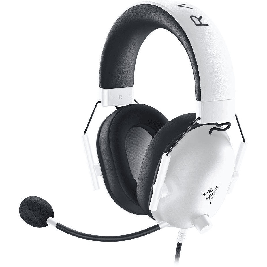 Slúchadlá na uši Razer RZ04-03241500-R3M1