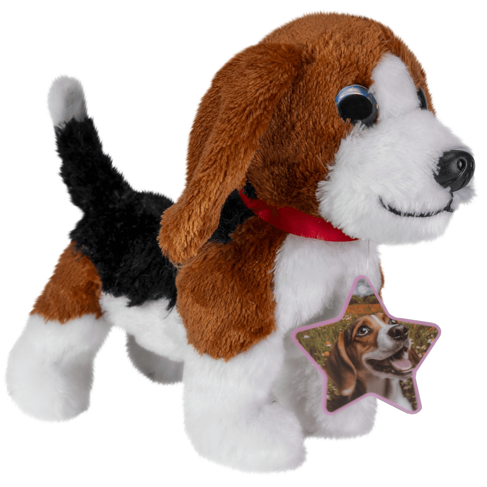 Lumo Stars Beagle Cooper