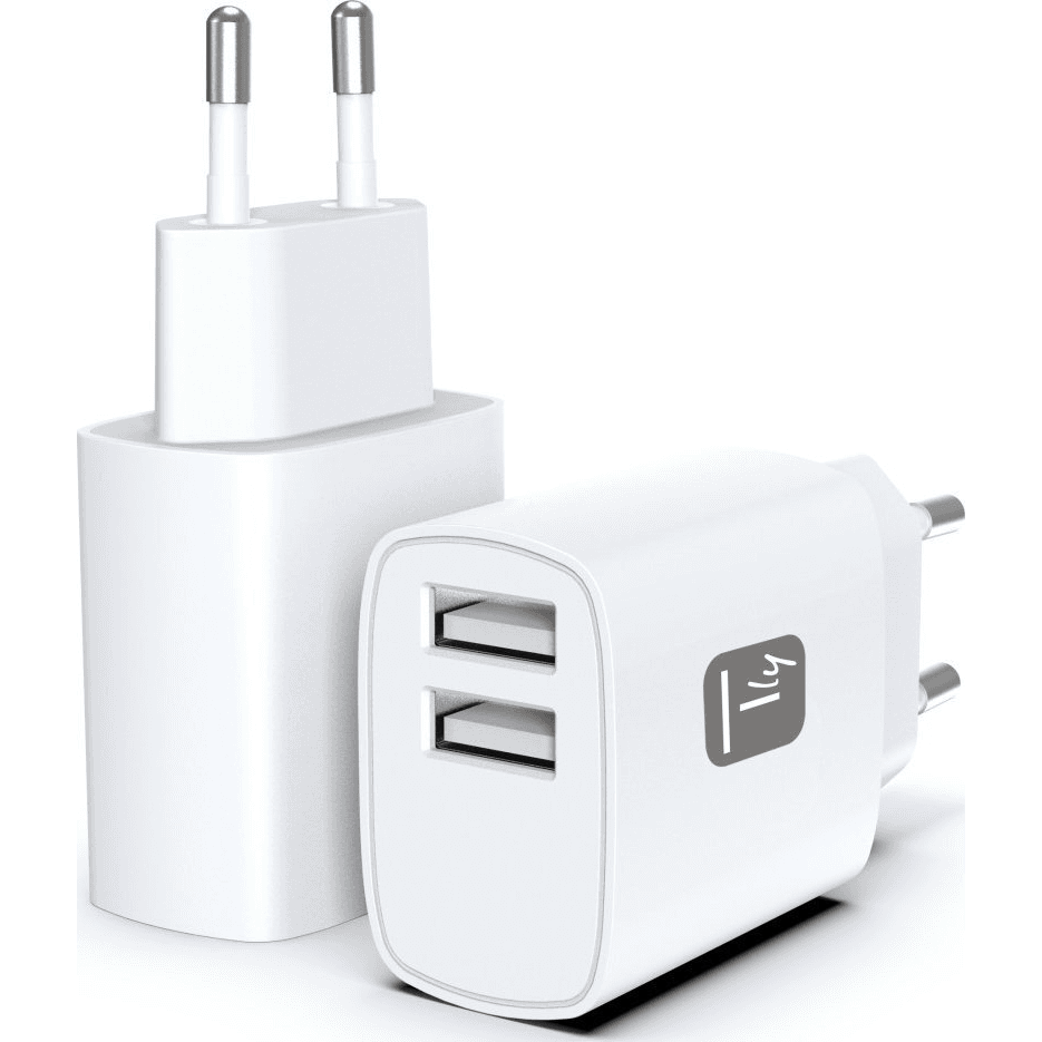 Techly IPW-USB-12W2A nabíjačka na PDA a mobilné telefóny Slúchadlá, Prenosný reproduktor, Externá batéria, Smartfón, Tablet Biela AC Vnútorný
