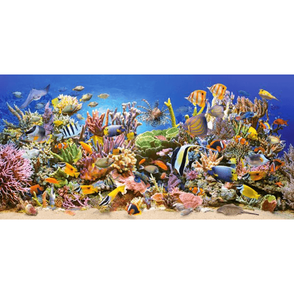Castorland Underwater life 4000 pcs Puzzle 4000 kusov Podvodná