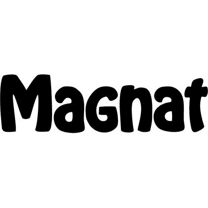 Stĺpový reproduktor Magnat Monitor S80 ATM Orech (kus)