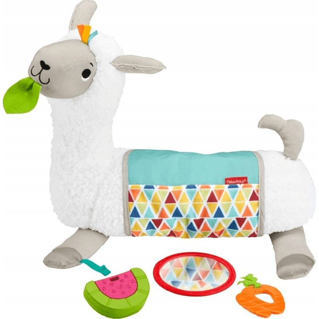 Fisher-Price GHJ03 študijné hračky
