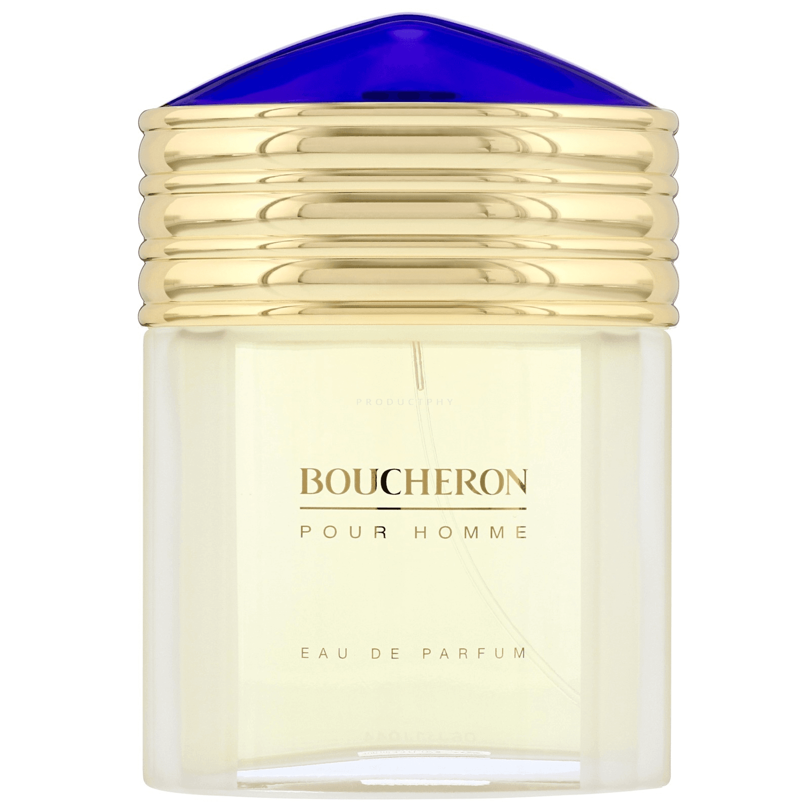Boucheron Pour Homme toaletná voda sprej 100ml EDT