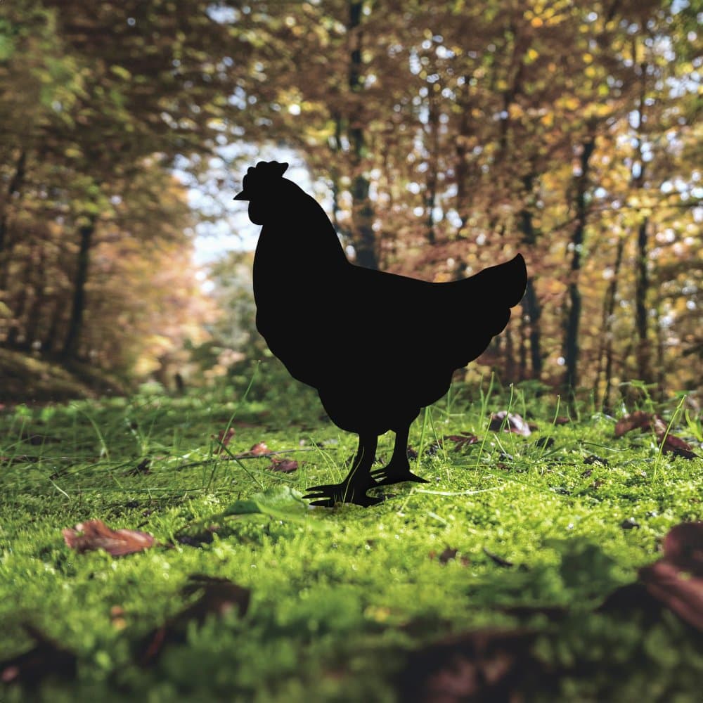 Záhradná dekorácia Chicken 01