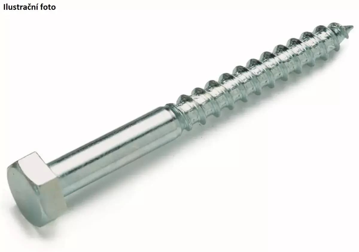 Šestihranný šroub do dřeva 6 x 40 mm (50 ks)