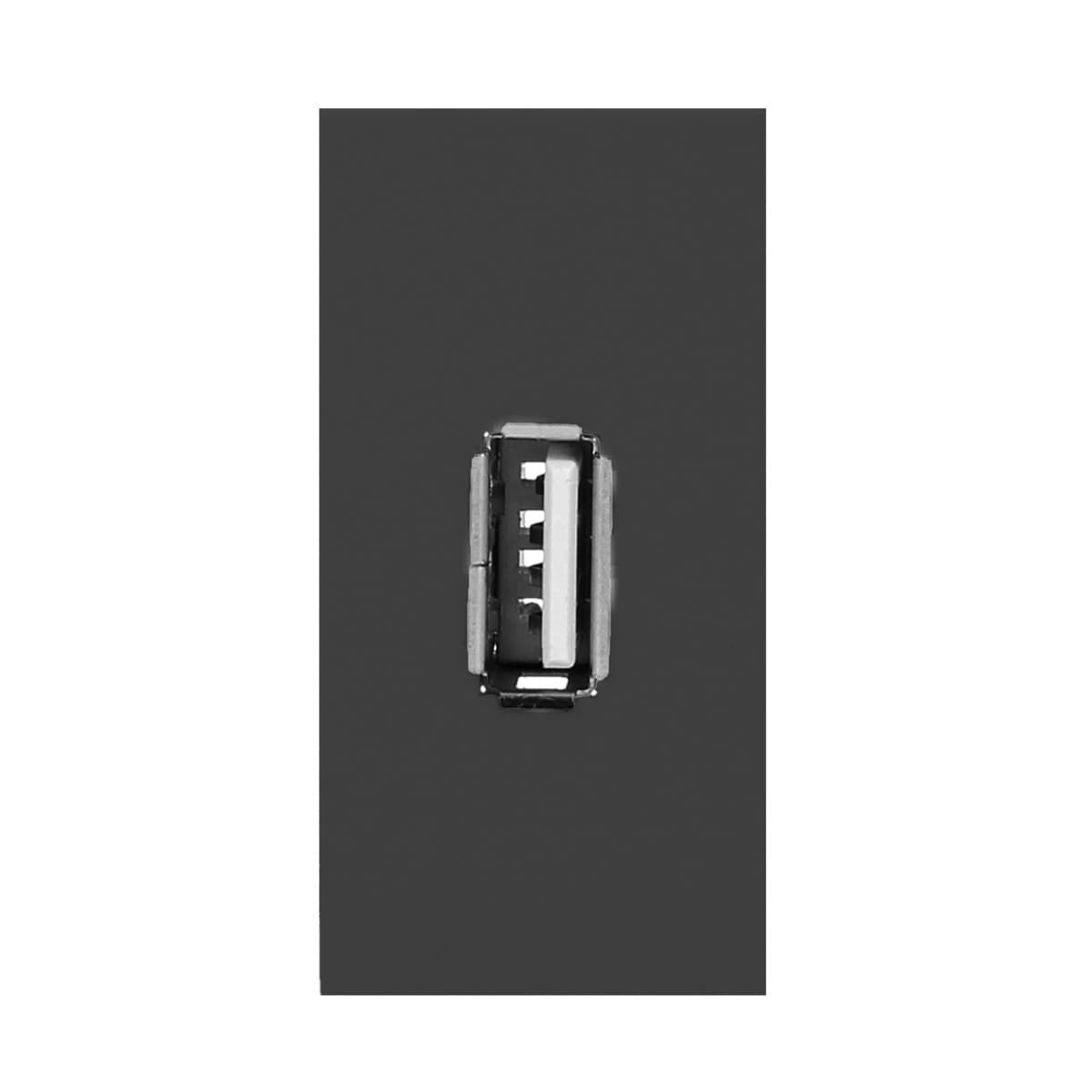 Modul NOEN - 1xUSB dátový polmodul čierny (ORNO)