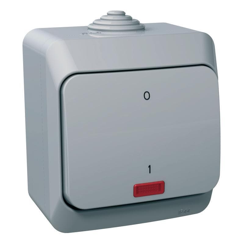 Spínac 2-pólový (2So) 16AX/250V (SS) IP44 sivá Cedar Plus (Schneider)