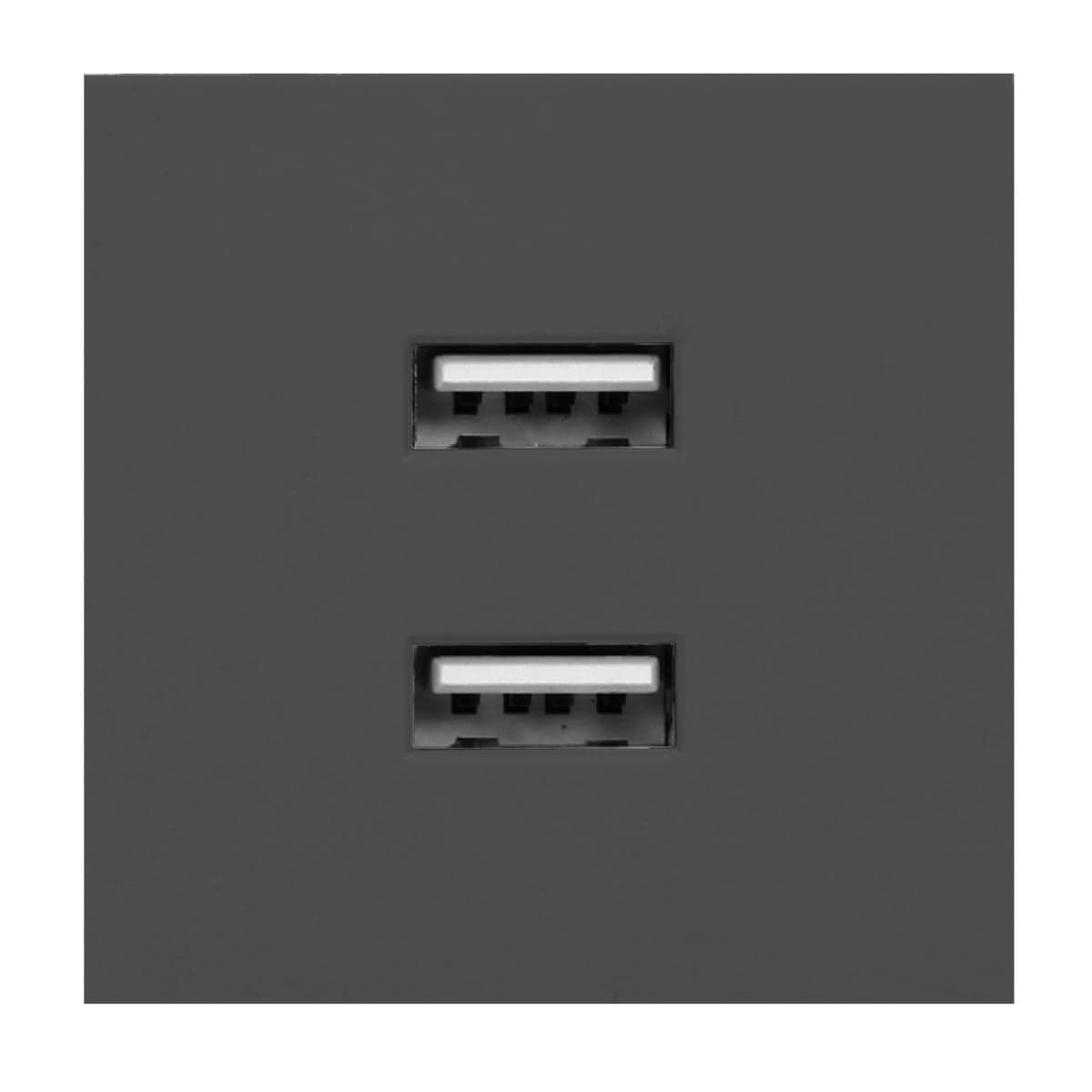 Modul NOEN - 2xUSB čierny (ORNO)