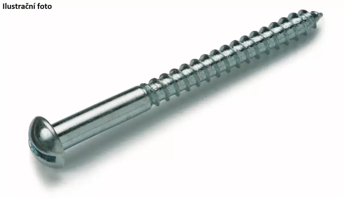 Plochý vrut do dřeva 5 x 30 mm (200 ks)