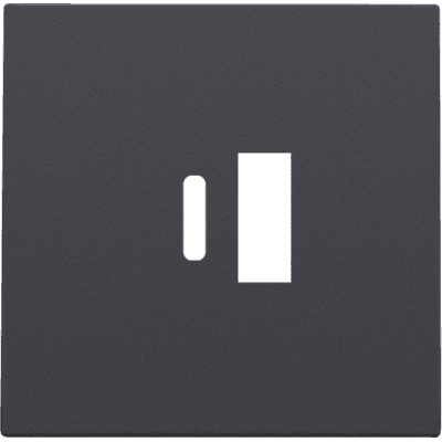 Kryt zásuvky USB+USB-C antracit (NIKO)