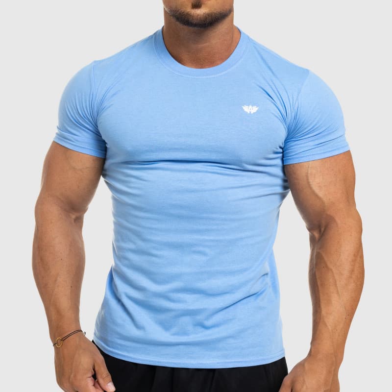 Pánske fitness tričko Iron Aesthetics Standard, modré