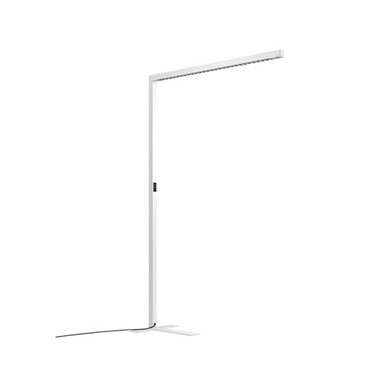 LED stojacia lampa Straight.single, biela, 4000 K, inteligentná, so senzorom