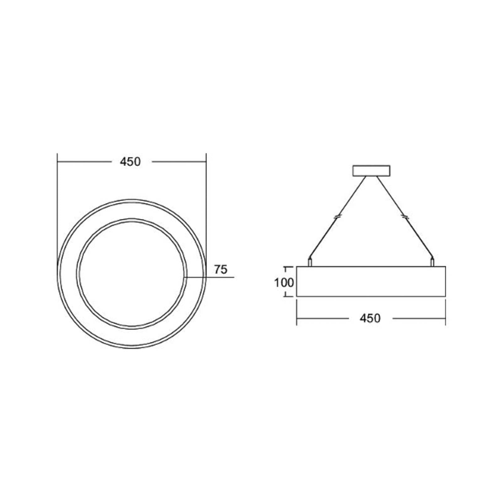 BRUMBERG Biro Circle Ring10 direct DALI, Ø 45cm, biela, 4000K