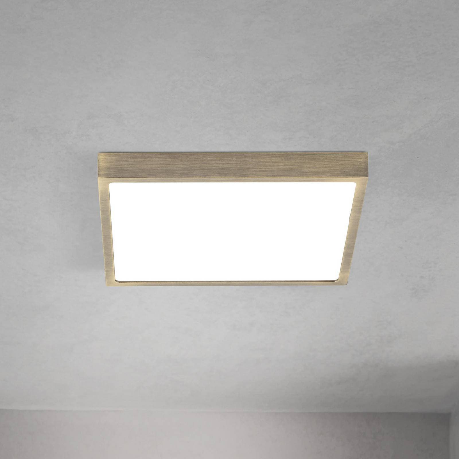 stropné LED svetlo Disc, antická mosadzová farba, dĺžka 24 cm, CCT