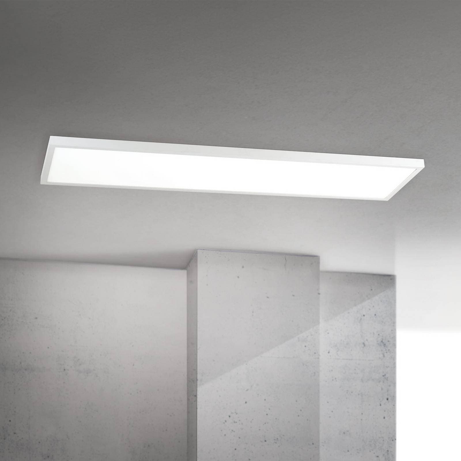 stropné LED svetlo Disc, biele, dĺžka 115 cm, CCT, kov