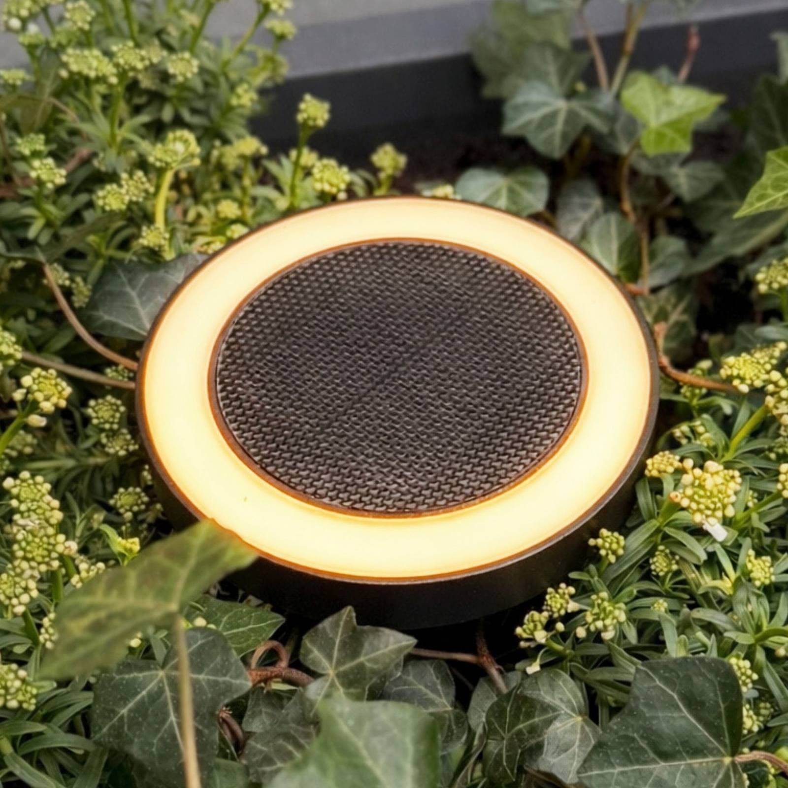 Solárna LED lampa Dyberg Larsen Otera na zapichnutie do zeme, čierna, IP54