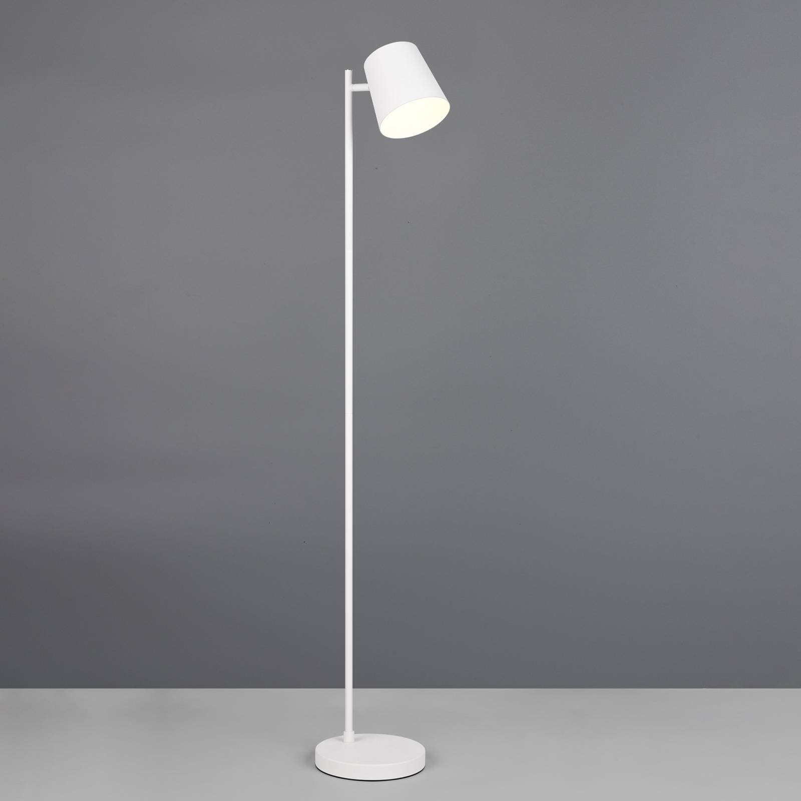 LED akumulátorová stojaca lampa Blake, biela matná, kov, stmievateľná