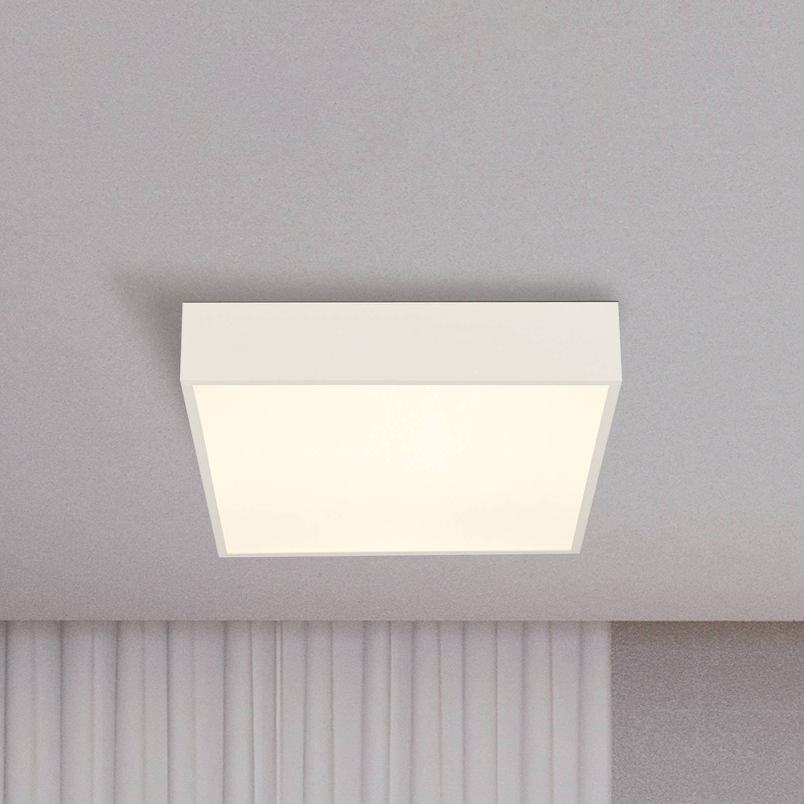 Stropné LED svetlo do kúpeľne Zeus, biele, dĺžka 30 cm, kovové