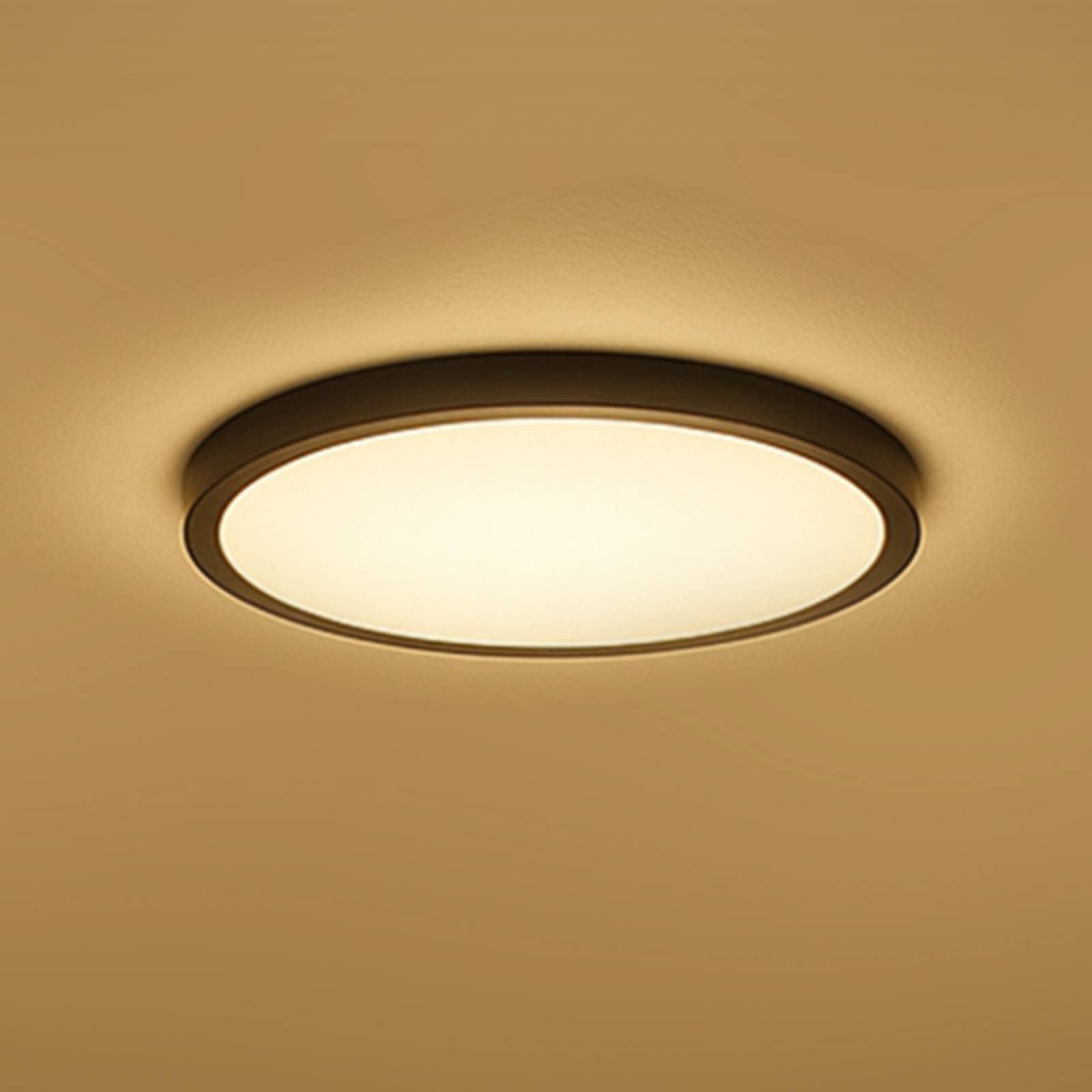 Calex Smart stropné LED svetlo HALO Ø 30 cm čierne IP54 RGB CCT