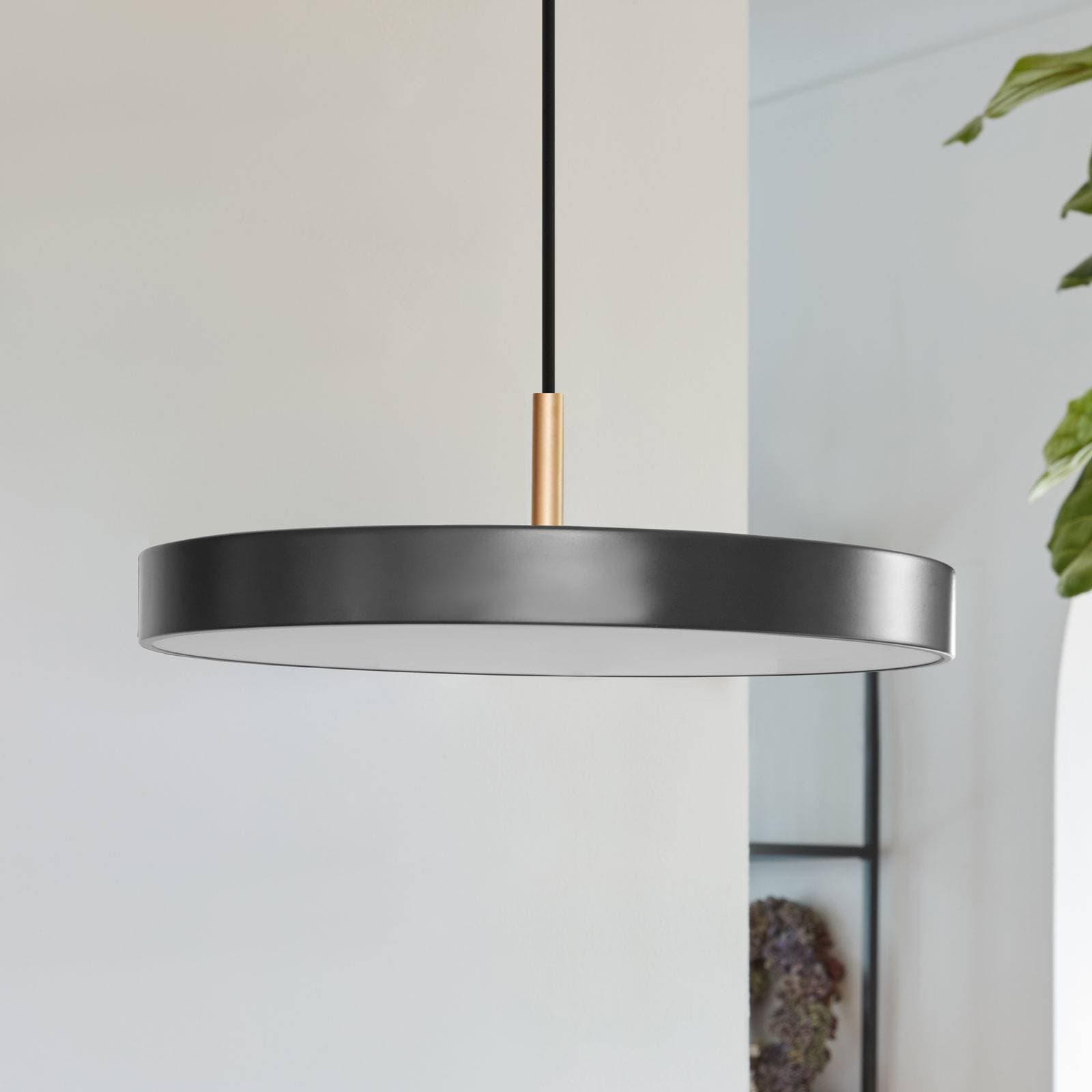 LED závesné svietidlo UMAGE Asteria Mini, antracitová/mosadz Ø 31 cm