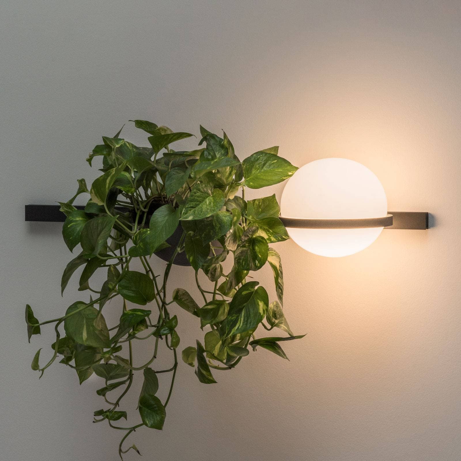Vibia Palma 3702 nástenné svetlo, kvetináč, grafit