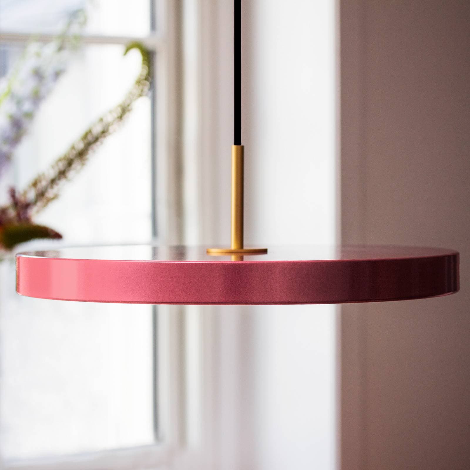 LED závesné svietidlo UMAGE LED Asteria Medium, ružové/mosadz, Ø 43 cm