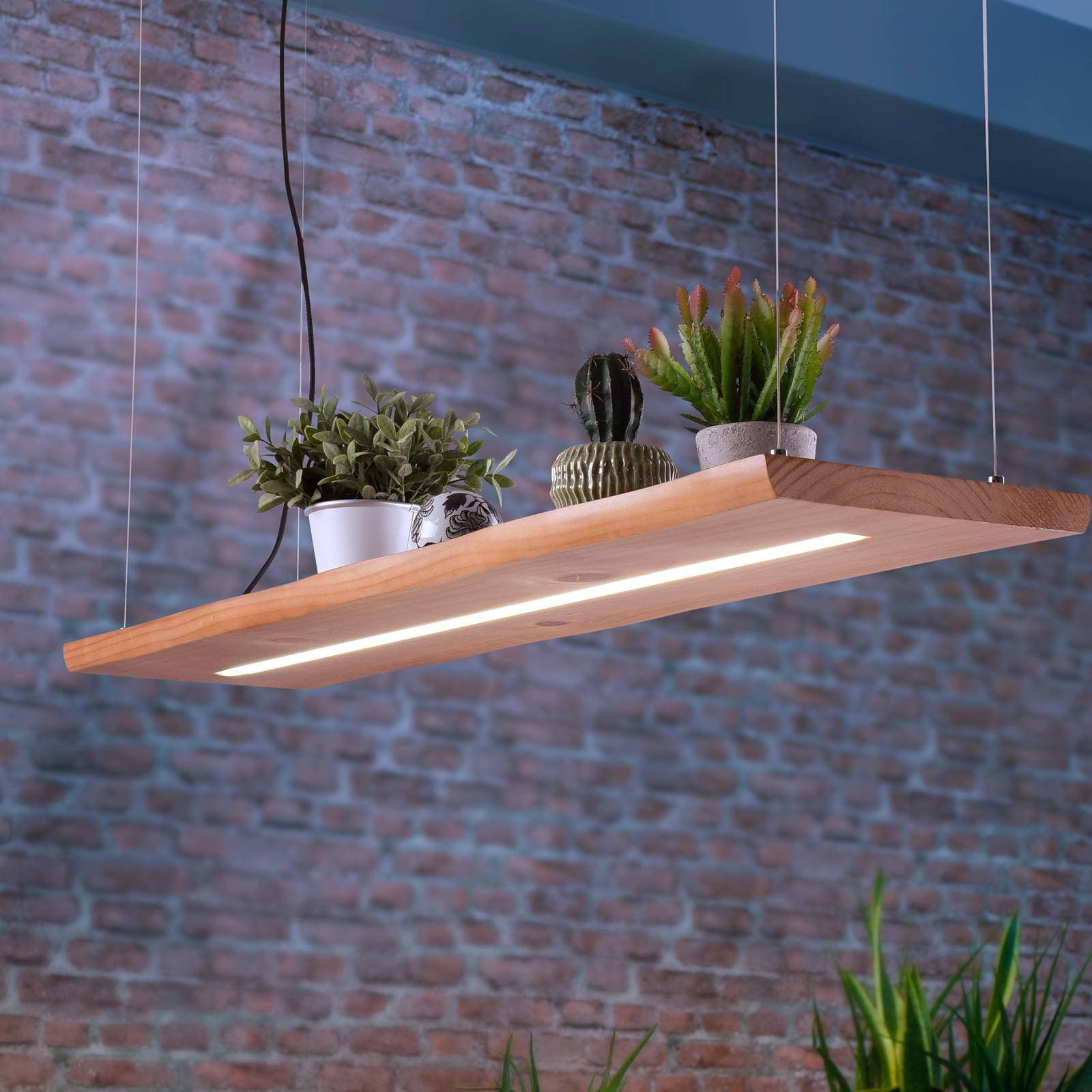 Paul Neuhaus LED závesné svietidlo Palma, drevo, CCT, stmievateľné, 120 cm