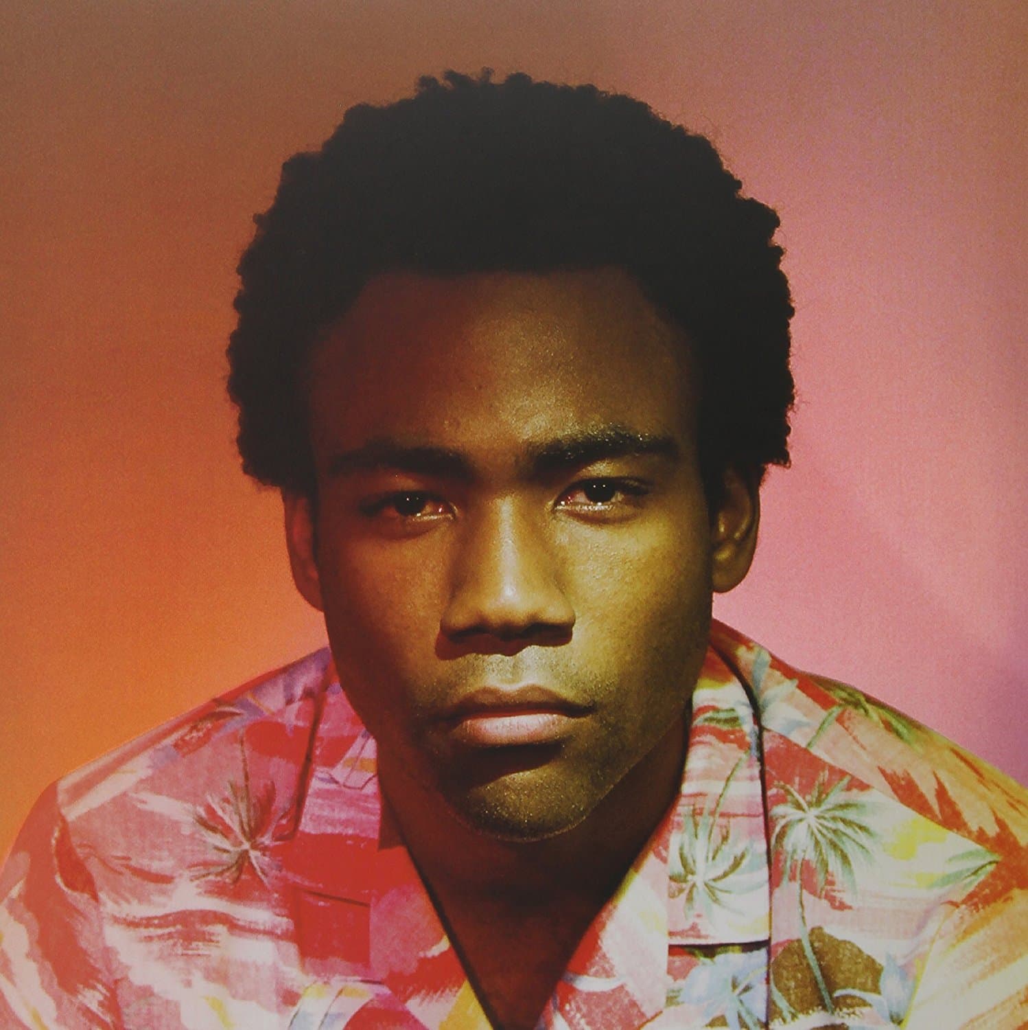 CD Childish Gambino - Because The Internet
