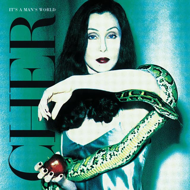 Vinyl Cher - It's a Man's World