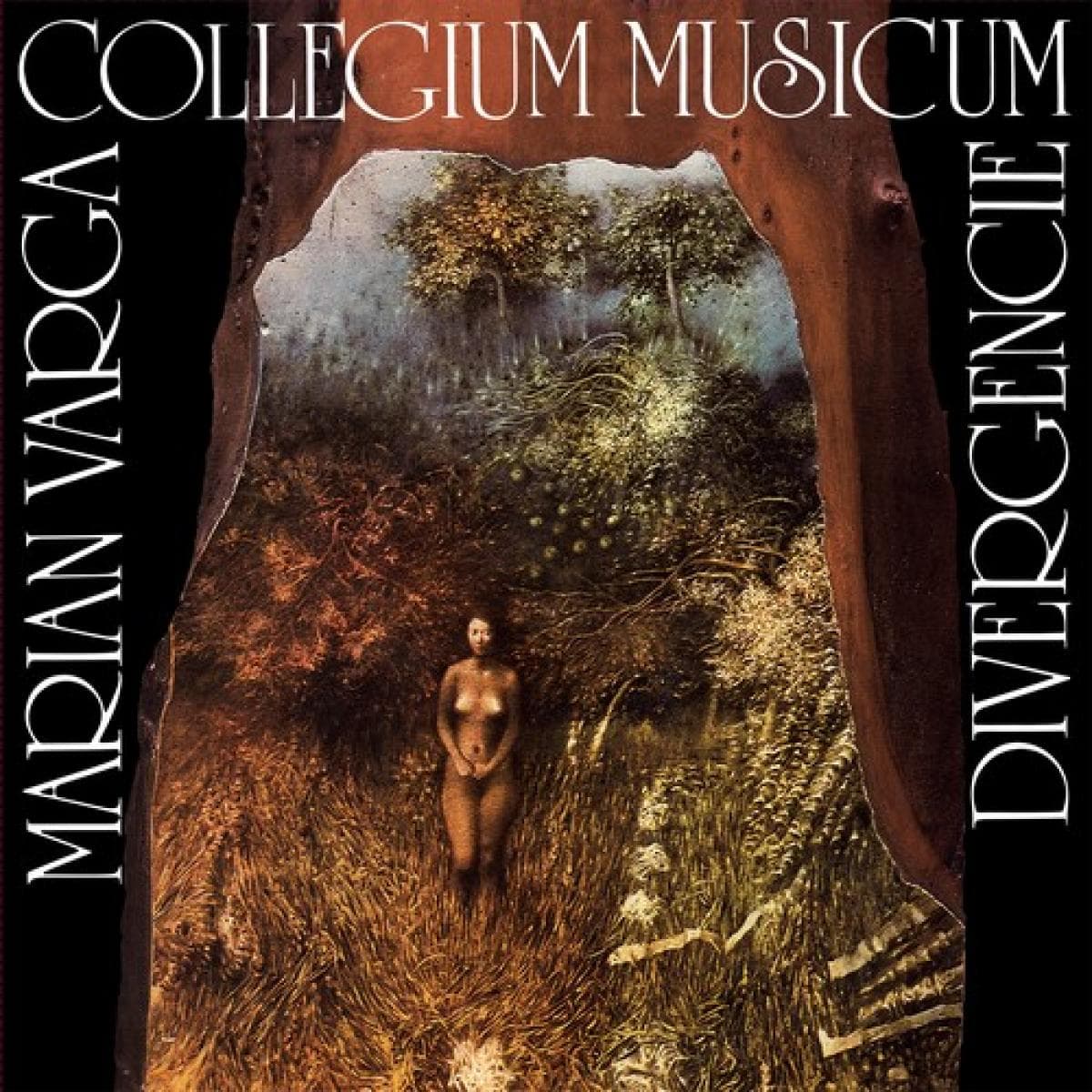 Vinyl Collegium Musicum - Divergencie