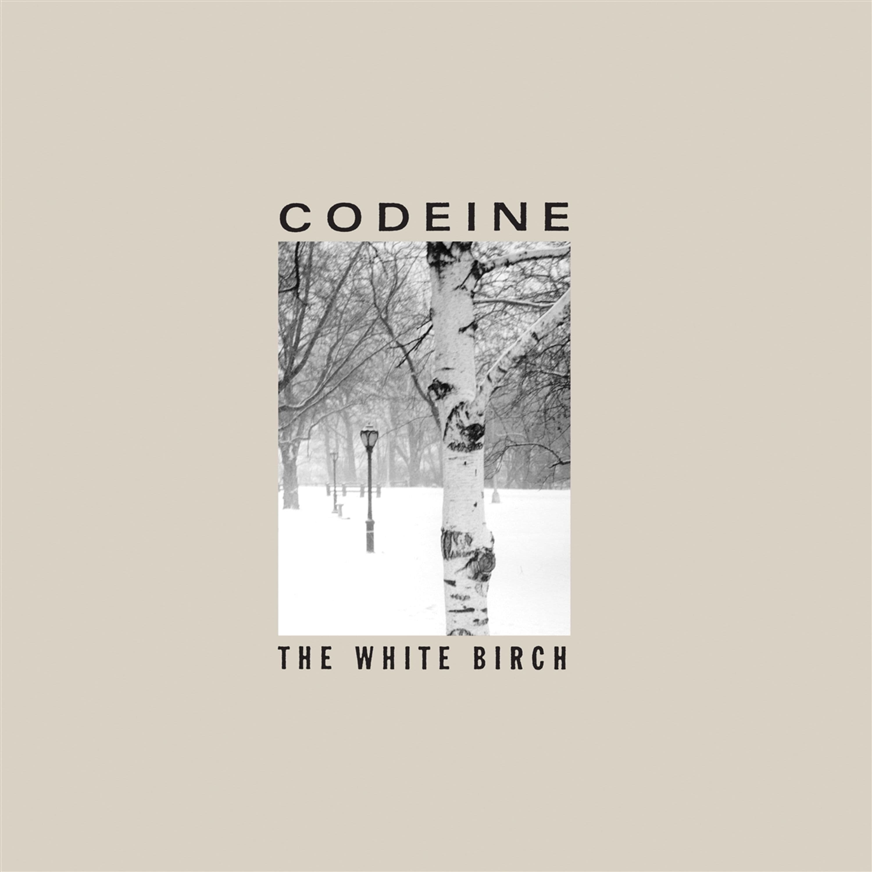 Vinyl Codeine - THE WHITE BIRCH