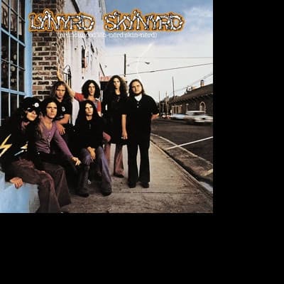 Vinyl Lynyrd Skynyrd - (PRONOUNCED 'L H-'N RD