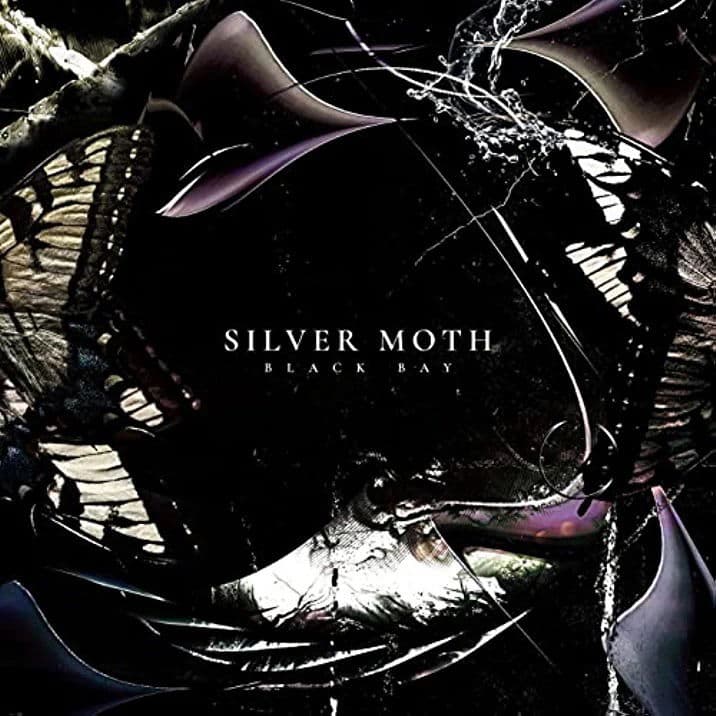CD Silver Moth - BLACK BAY
