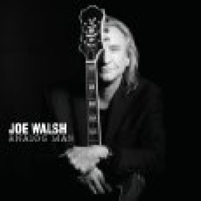CD Joe Walsh - ANALOG MAN