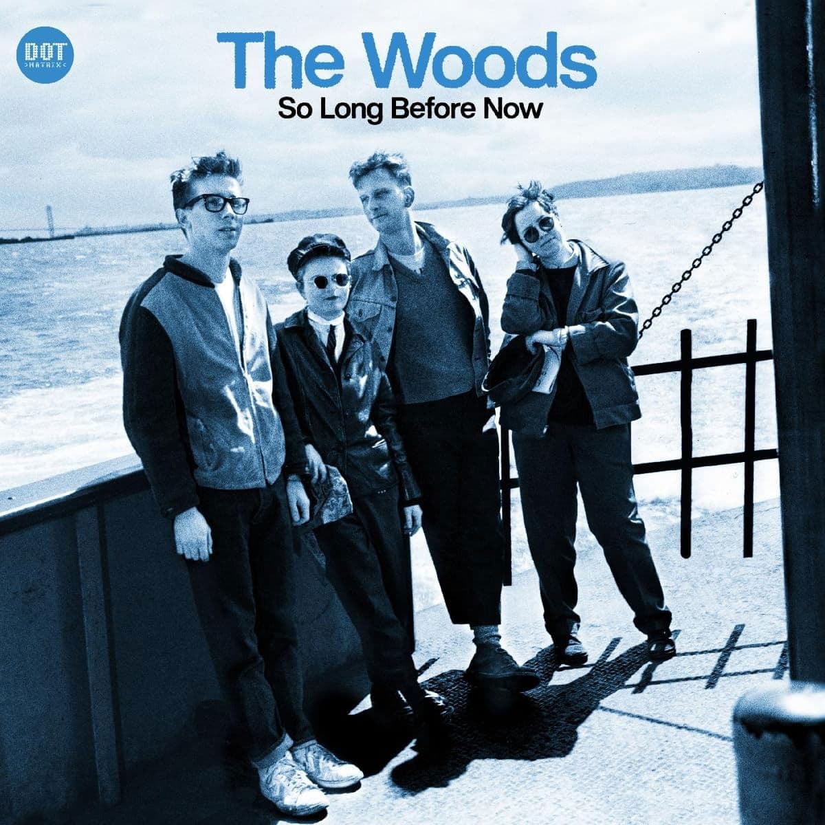 Vinyl The Woods - SO LONG BEFORE NOW