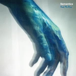 Vinyl Semantics - PAINT ME BLUE