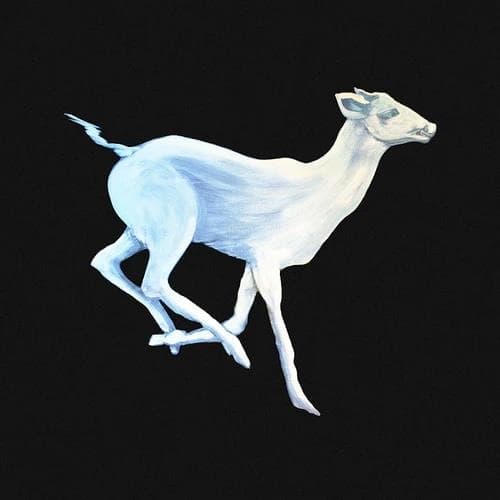 Vinyl Cloud Cafe - GIFT HORSE