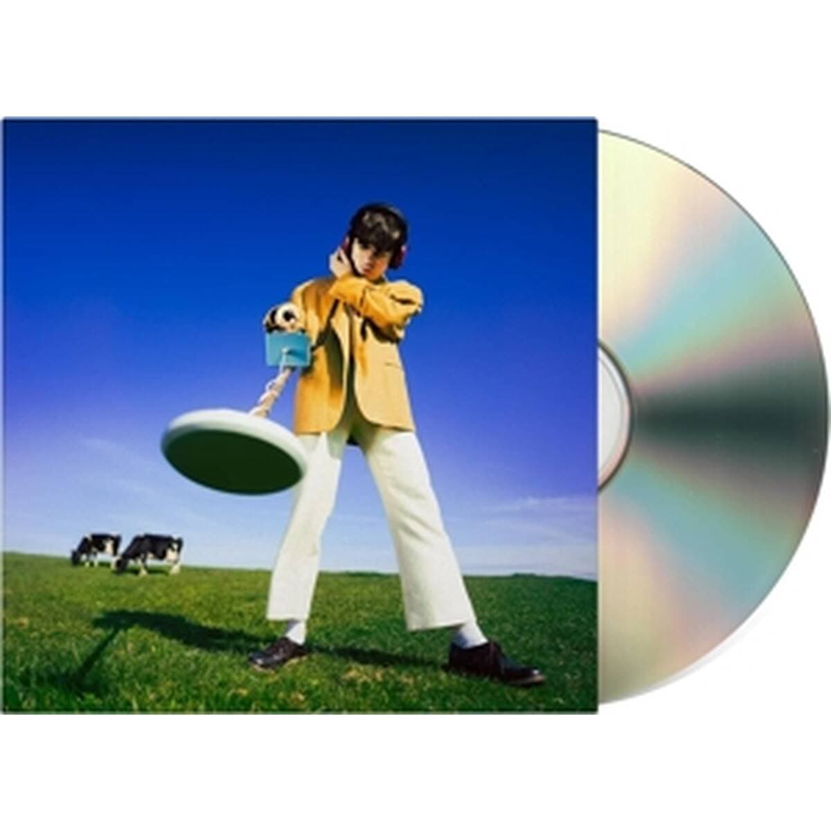 CD Declan McKenna - What Happened to the Beach?
