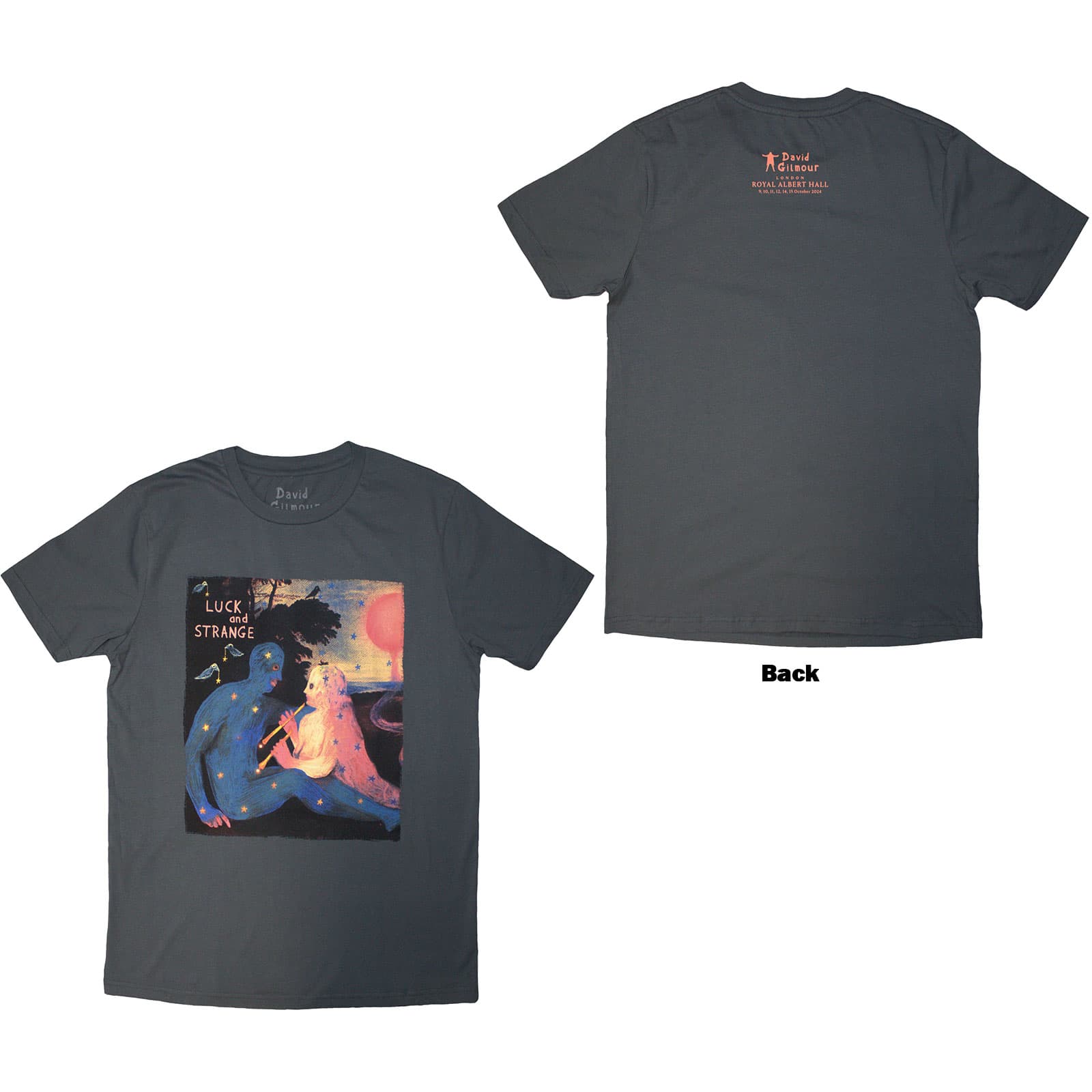 Tričko David Gilmour - Luck & Strange London 2, Unisex,Šedá,S