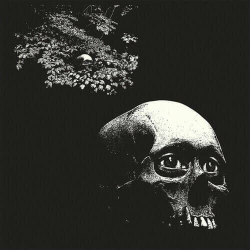 Vinyl Osees - A FOUL FORM