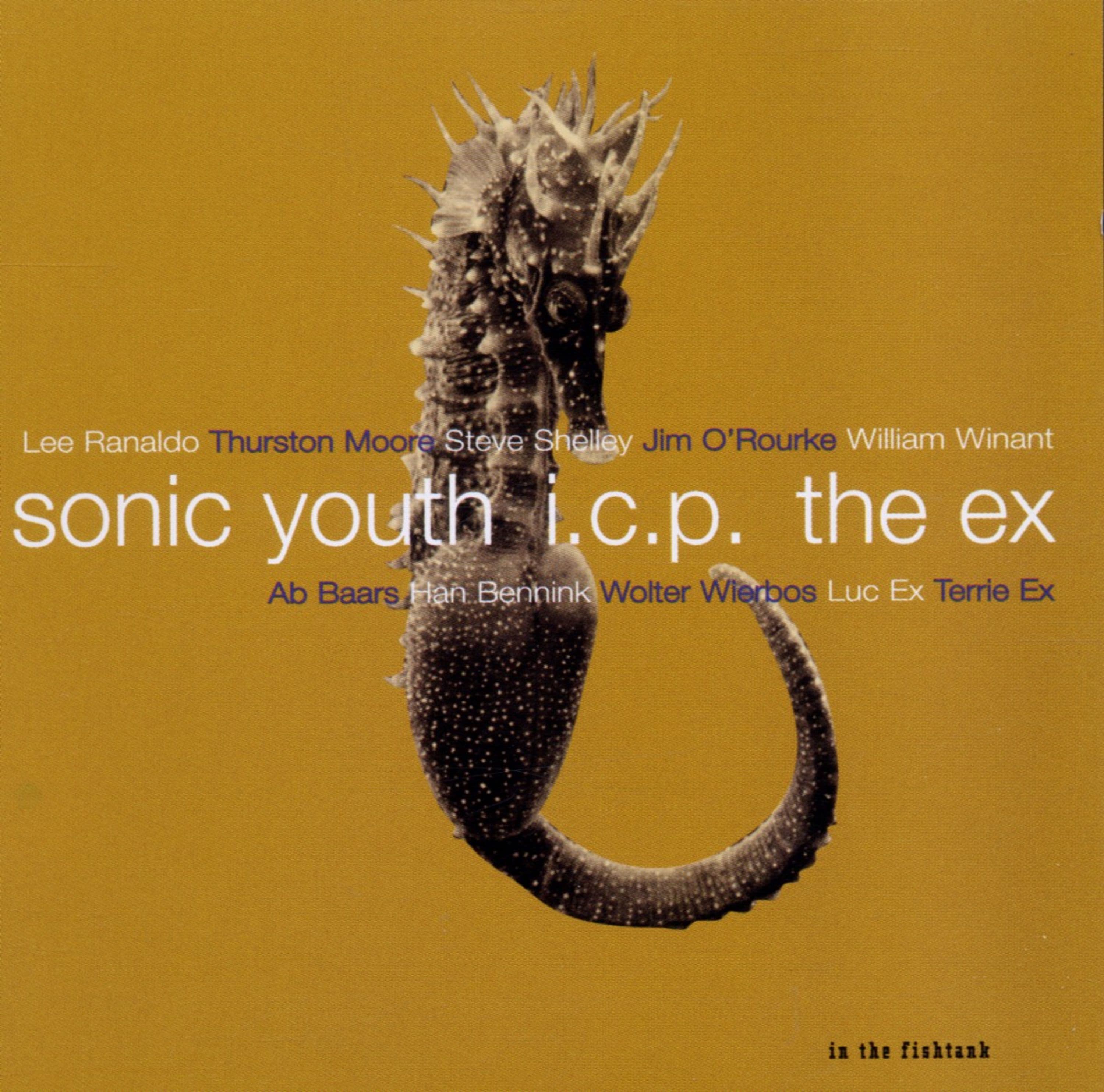 CD Sonic Youth, The Ex, and ICP - IN THE FISHTANK
