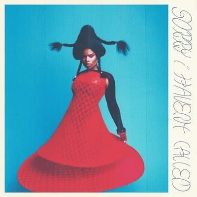 Vinyl Vagabon - SORRY I HAVEN'T CALLED