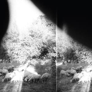 CD Godspeed You! Black Emperor - ASUNDER, SWEET & OTHER DISTRESS