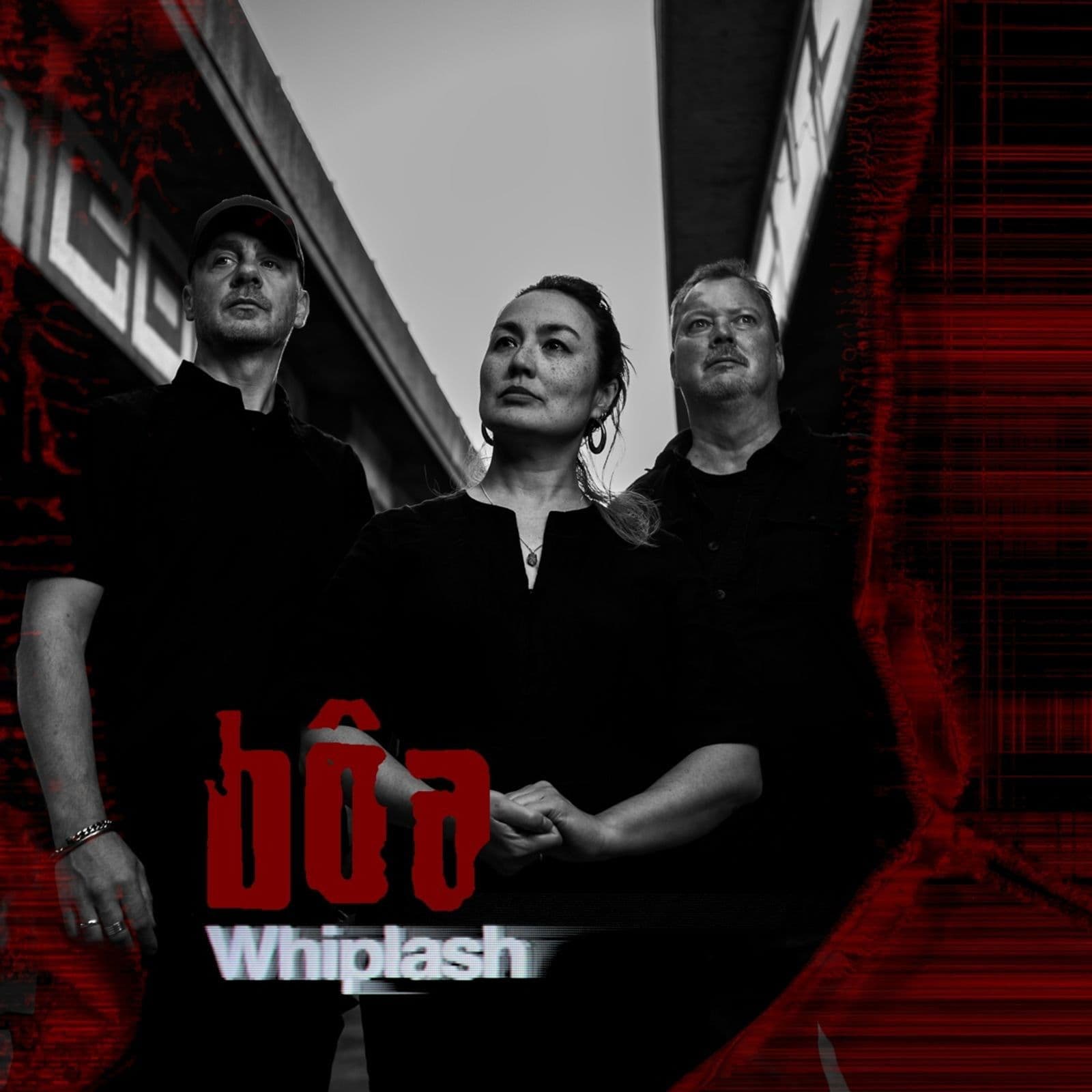 Vinyl BOA - WHIPLASH