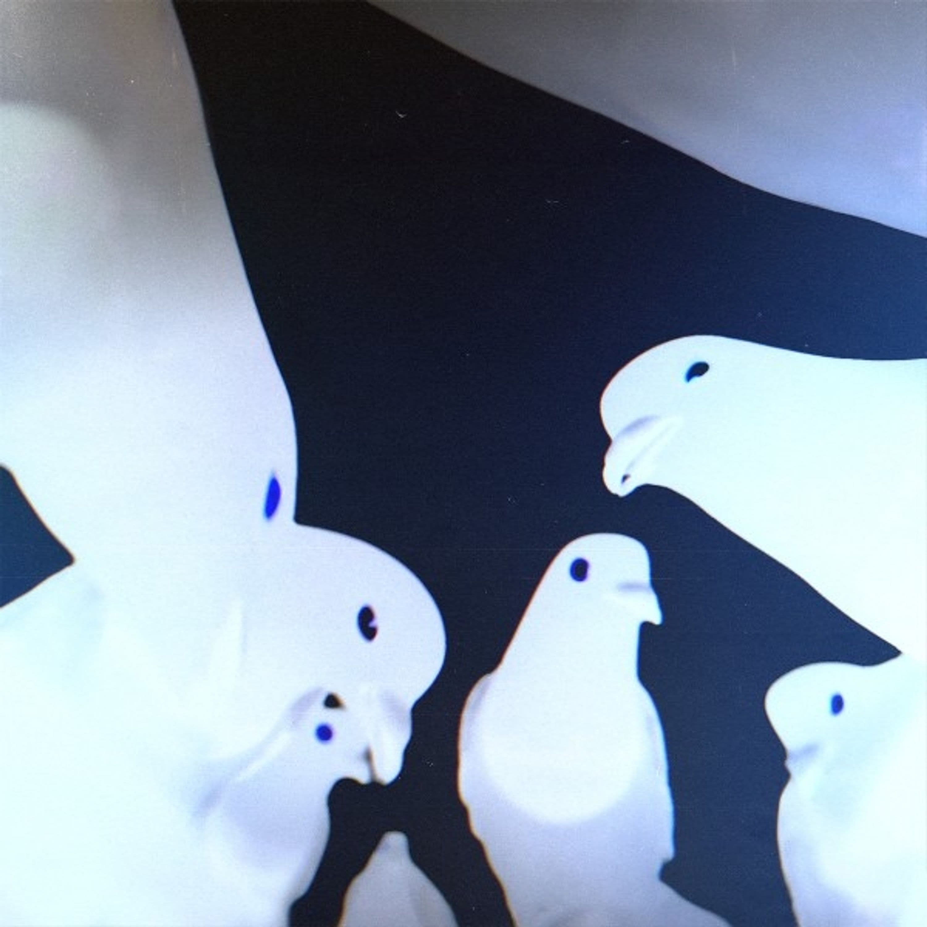 Vinyl Stimming - FRIEDRICH